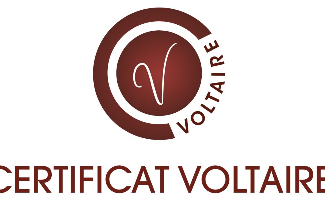 Langue française : Préparation au Certificat Voltaire